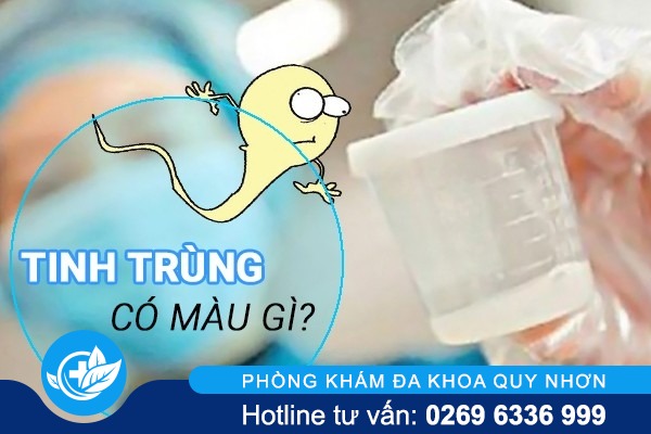Khi xuất tinh thì tinh trùng có màu gì là bình thường?
