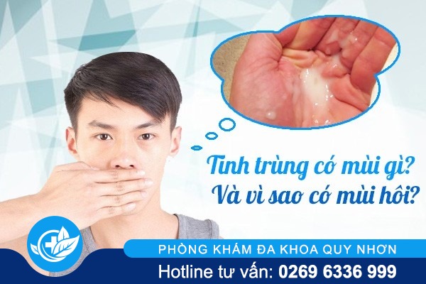Bạn có biết tinh trùng có mùi gì và vì sao tinh trùng có mùi hôi?