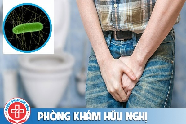 Bệnh nhiễm khuẩn đường tiểu và các kiến thức cần biết
