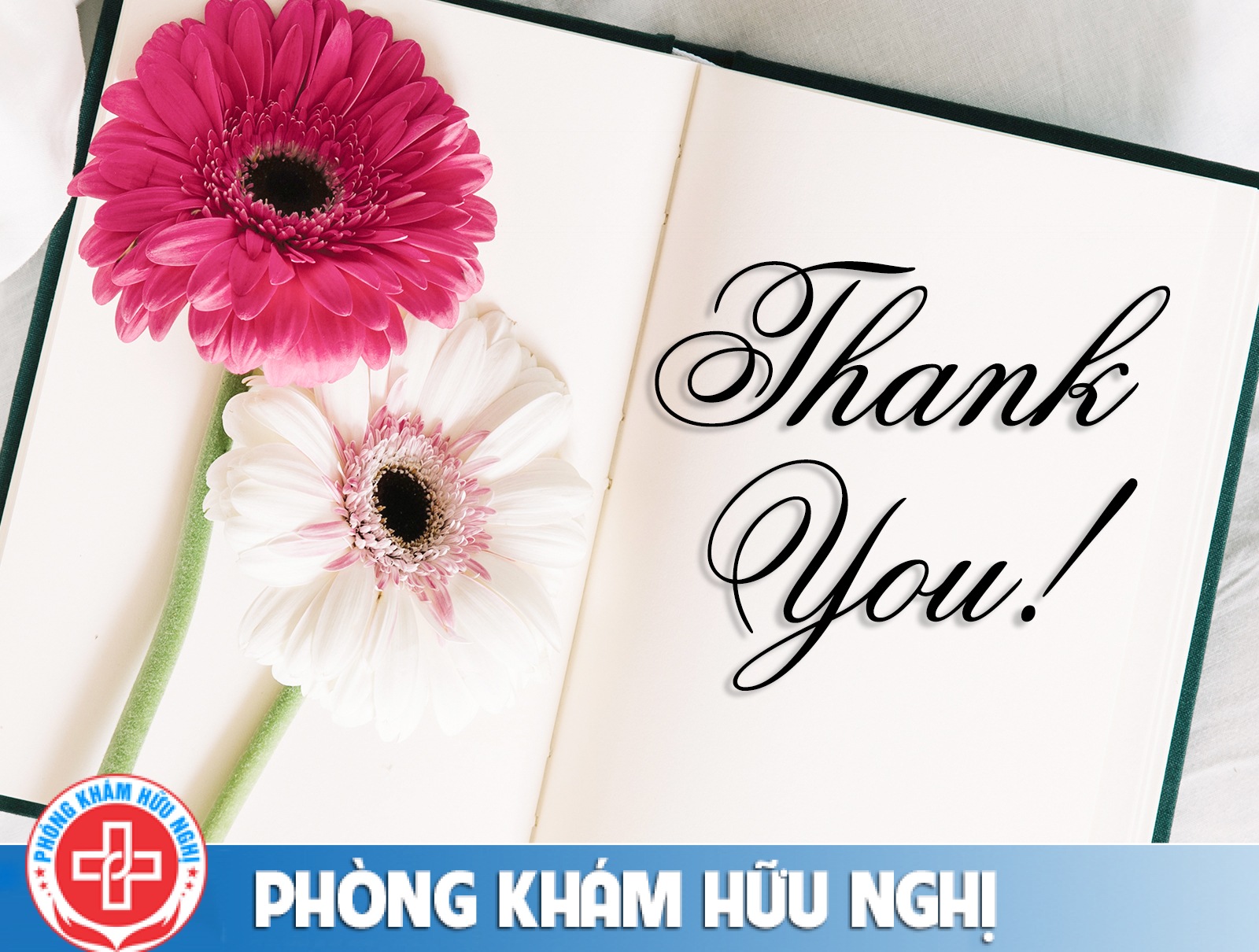 Thư cảm ơn của bệnh nhân nữ mắc bệnh phụ khoa