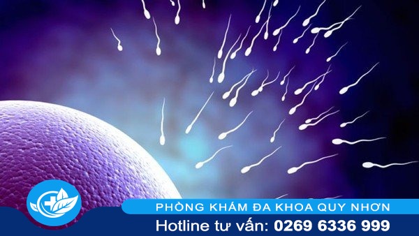 Địa chỉ xét nghiệm tinh trùng uy tín bảo mật an toàn tại Quy Nhơn