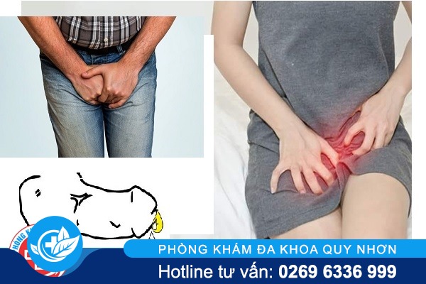 Chảy mủ bộ phận sinh dục là bị bệnh gì?