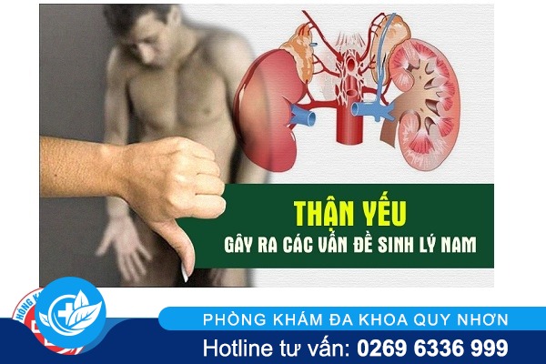 Nguyên nhân thận yếu là gì?