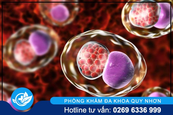 Bệnh lậu – Tốc độ lây nhiễm nhanh và dễ kháng thuốc