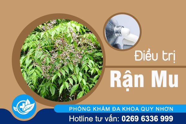 Đâu là biện pháp điều trị rận mu hiệu quả?