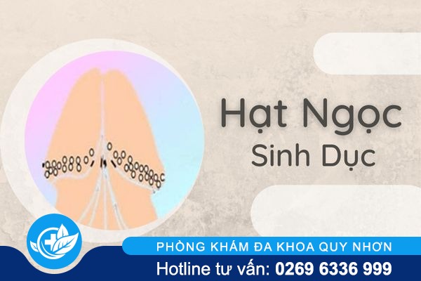 Hiểu đúng về hạt ngọc sinh dục 