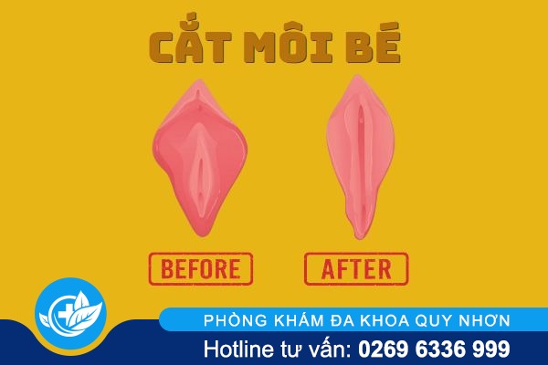 cat-moi-be-co-anh-huong-khong-va-lam-the-nao-moi-an-toan-1