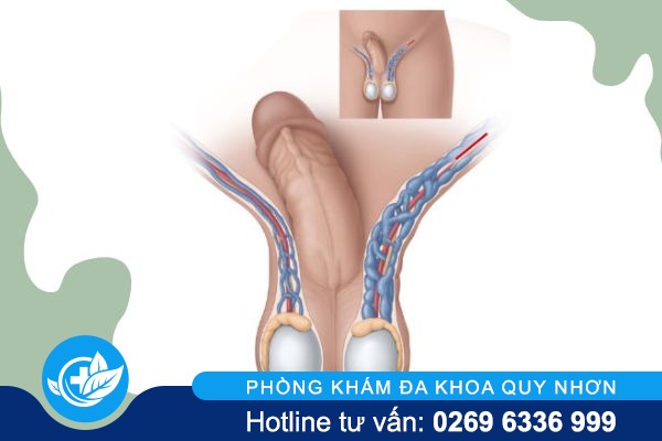 tinh-trung-loang-co-con-duoc-khong-2