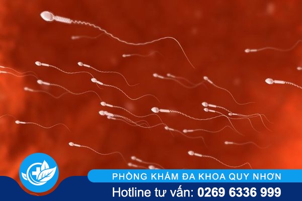 Xuất tinh ra máu là do đâu và điều trị như thế nào hiệu quả?