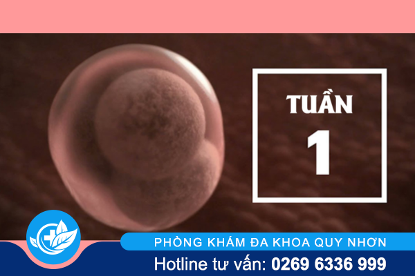 cach-nao-pha-thai-1-tuan-an-toan-va-chi-phi-ra-sao-1