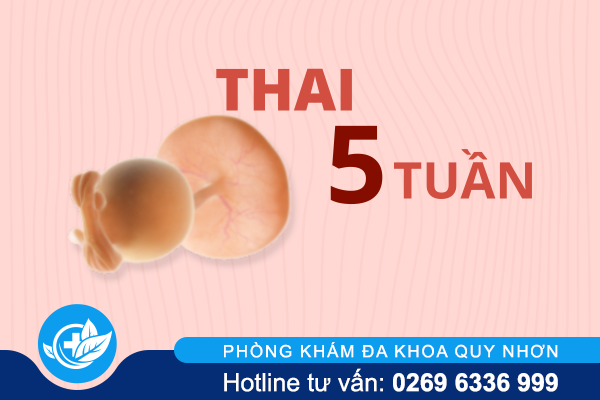 nhung-van-de-nen-biet-khi-pha-thai-5-tuan-1