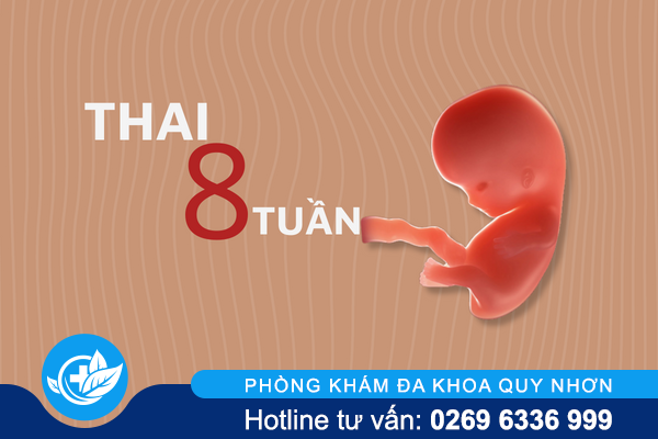 quyet-dinh-pha-thai-8-tuan-co-an-toan-khong-1