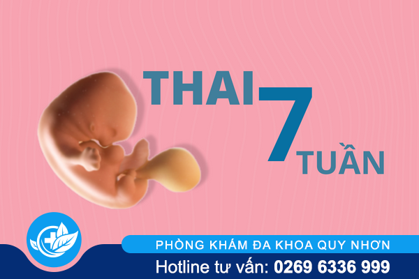 thong-tin-can-biet-khi-pha-thai-7-tuan-1