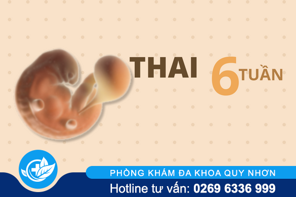 thuc-hien-pha-thai-6-tuan-duoc-khong-1