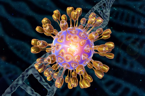 Mụn Rộp Sinh Dục Có Nguy Hiểm Không? Những Điều Cần Biết