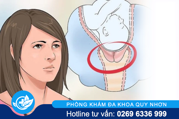 sa-tu-cung-va-nhung-thong-tin-dung-bo-qua-002