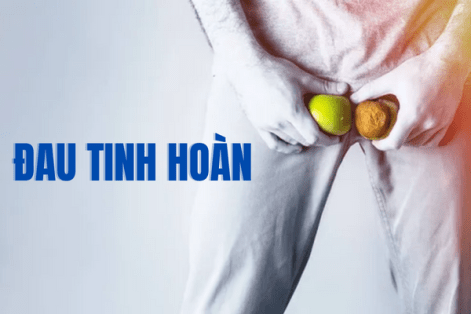 Hồi chuông báo động “đau tinh hoàn”