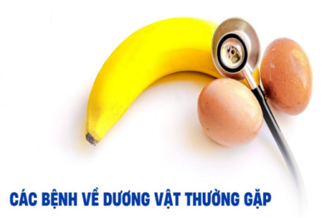 Dấu hiệu mắc bệnh dương vật nam giới cần biết