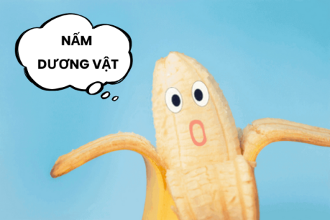 Biểu hiện nấm dương vật và cách điều trị