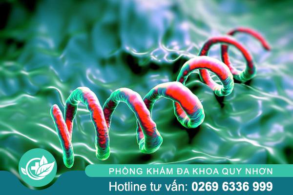 Bệnh giang mai: Nguyên nhân gây bệnh và dấu hiệu nhận biết sớm
