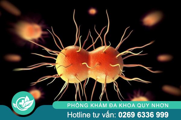 Lậu cấp tính và lậu mãn tính – Cảnh báo biến chứng nguy hiểm