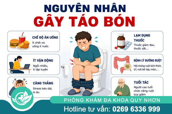Táo Bón Kéo Dài: Khi Nào Liên Quan Đến Bệnh Trĩ?